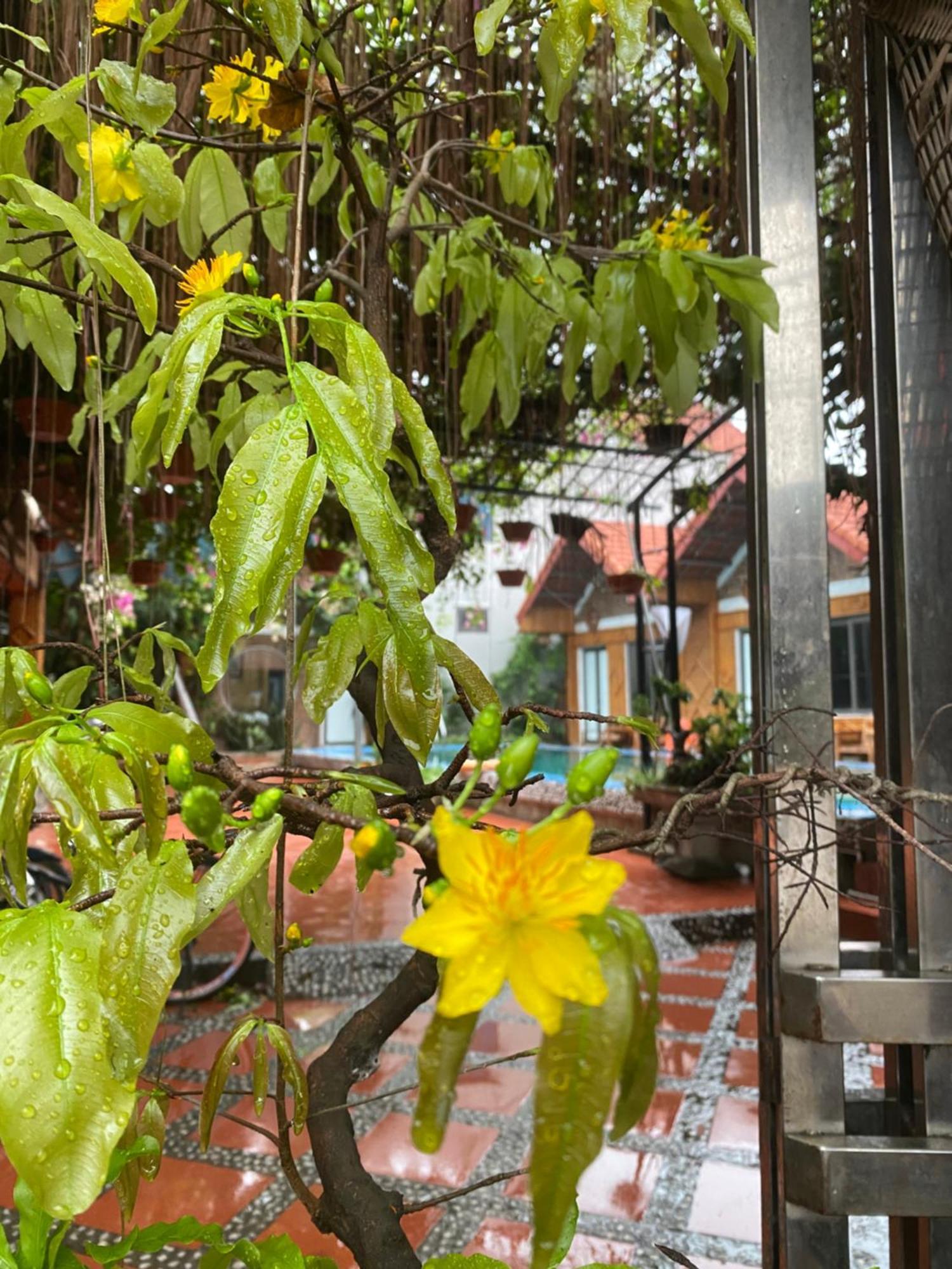 Tam Coc Charming Bungalow Ninh Binh Exteriér fotografie