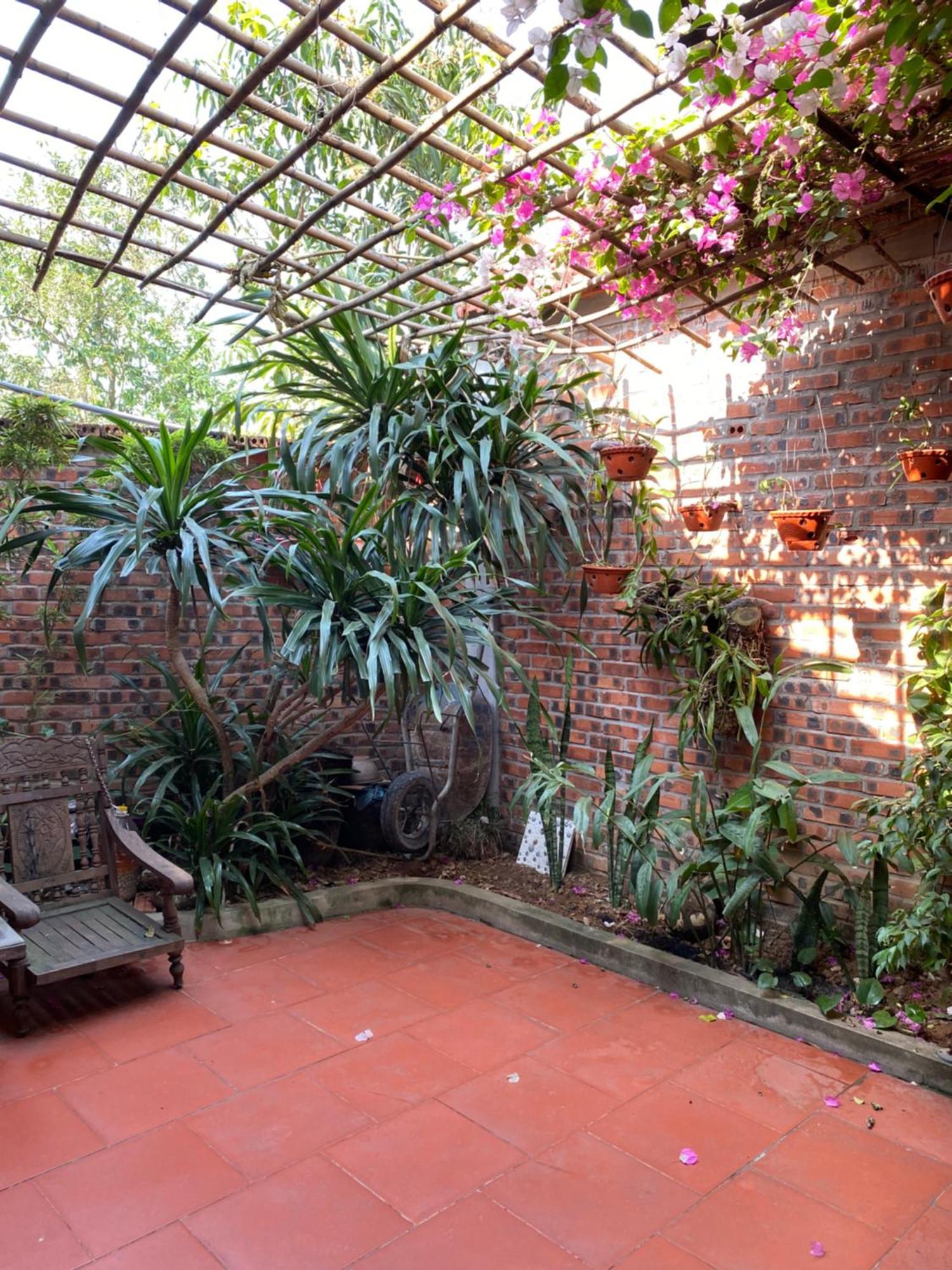 Tam Coc Charming Bungalow Ninh Binh Exteriér fotografie