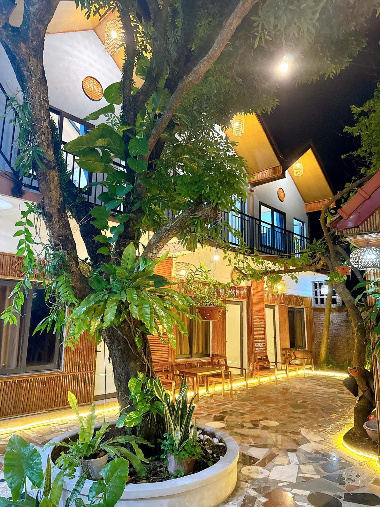 Tam Coc Charming Bungalow Ninh Binh Exteriér fotografie